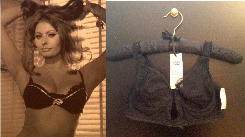 Sophie Lauren helps make the push up bra a trend.  vintage: 1960's