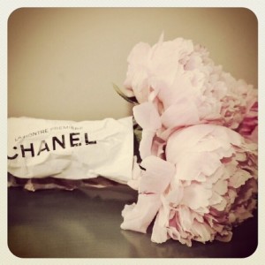 Choupette's Chanel Valentine's Day