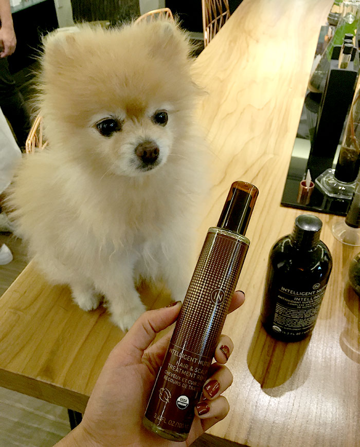 pom-pom-charlie-intelligent-nutrients-dog-hair-growth