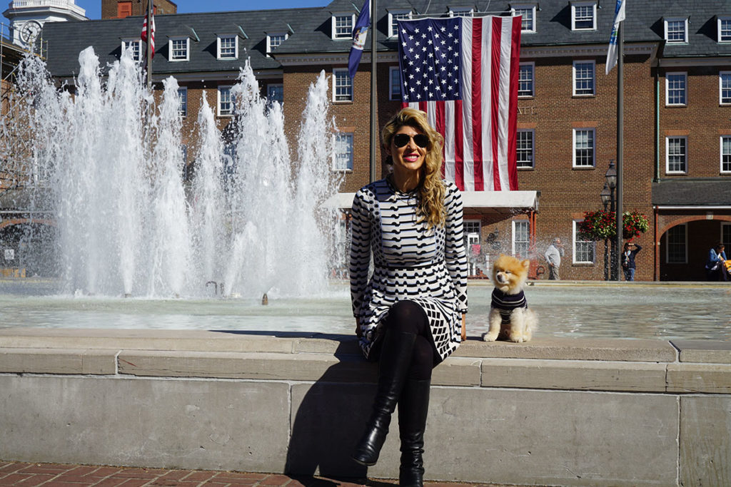 Alexandria, Virginia is for Dog Lovers Pretty Connected
